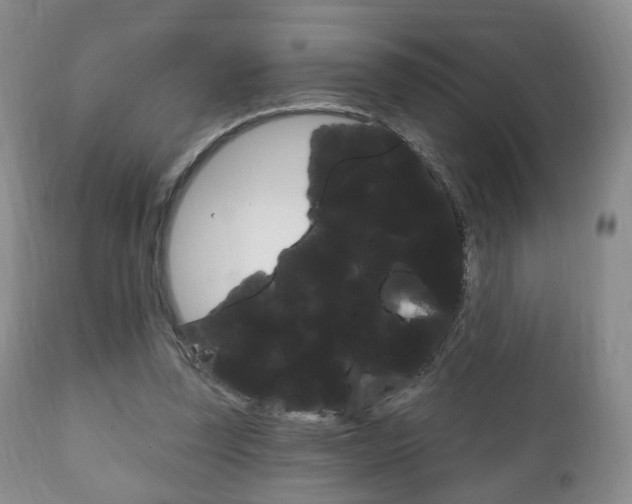 X0000111220347200907021005