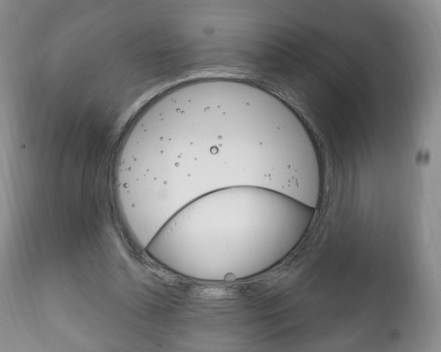X0000111220348200907021005