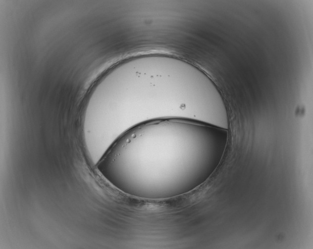 X0000111220350200907021005