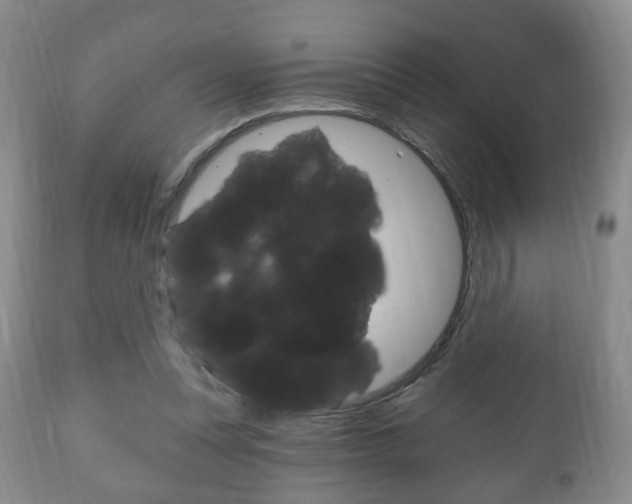X0000111220351200907021005