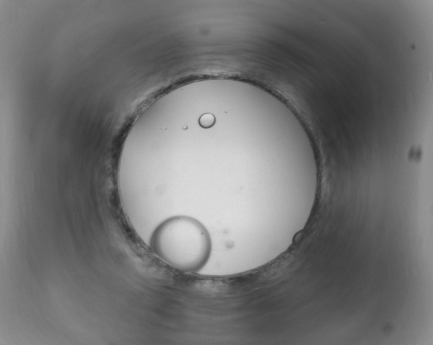 X0000111220354200907021006