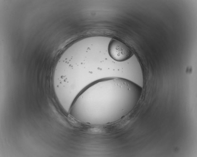 X0000111220356200907021006