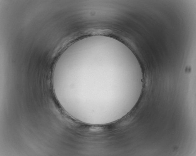 X0000111220357200907021006