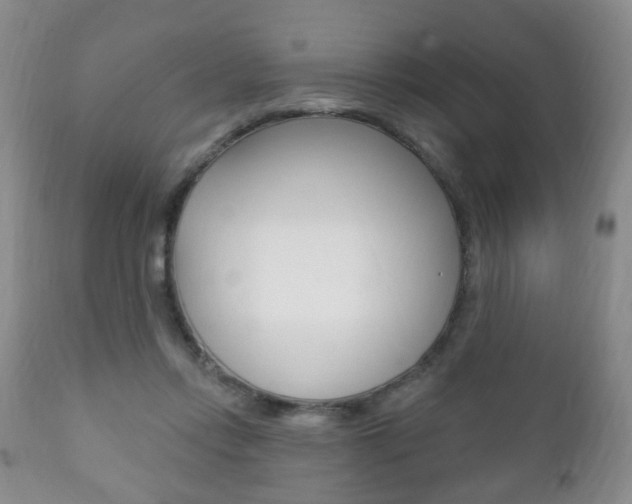 X0000111220358200907021006