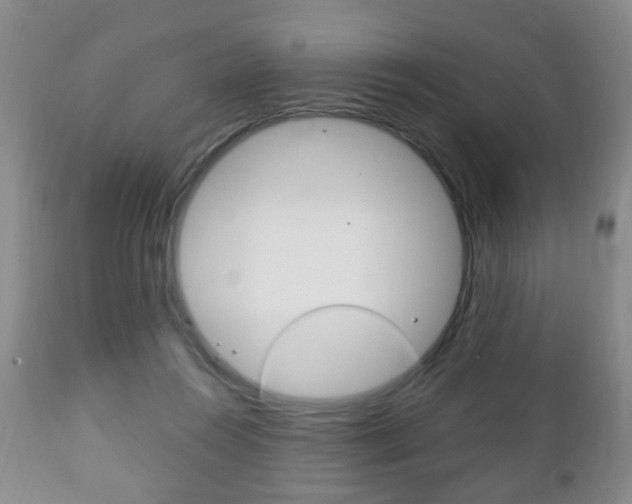 X0000111220360200907021006