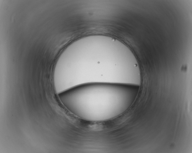 X0000111220362200907021006