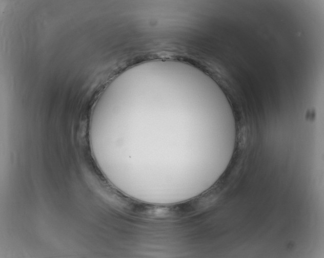 X0000111220365200907021006