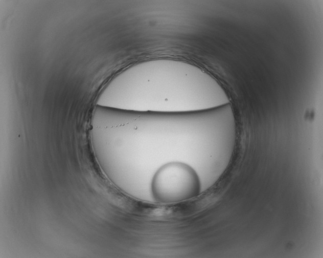 X0000111220366200907021006