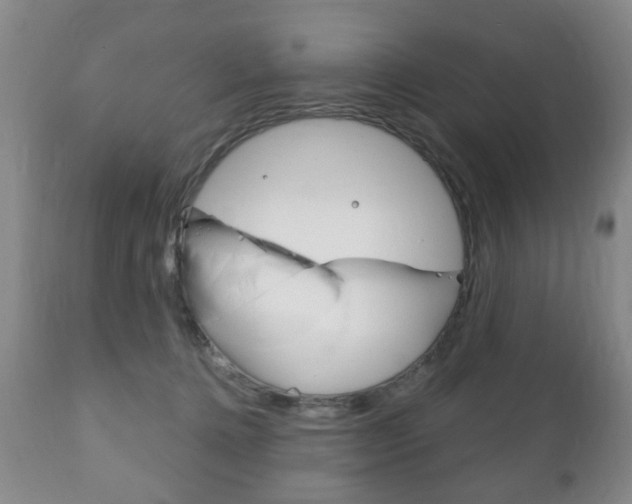 X0000111220368200907021006