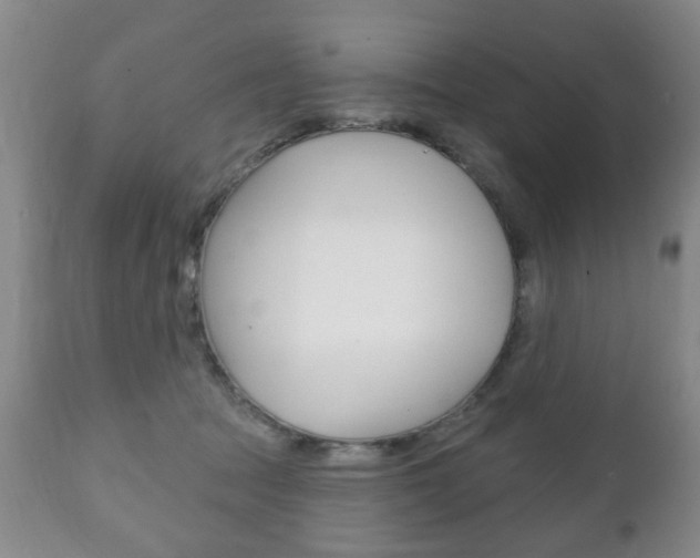 X0000111220369200907021006