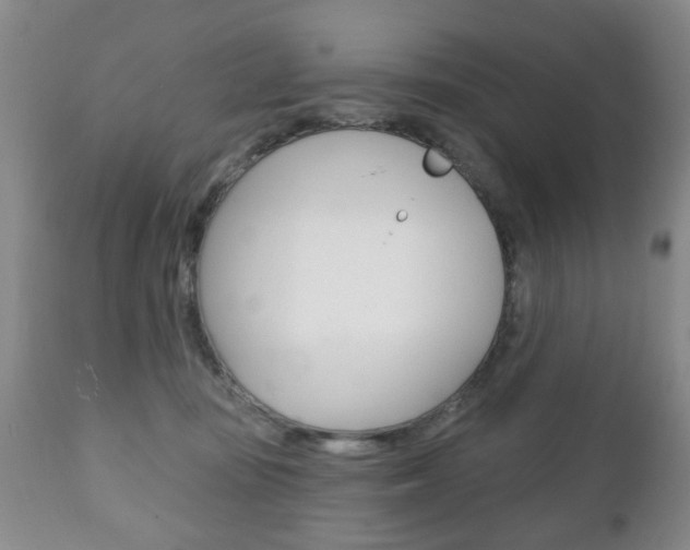 X0000111220371200907021006