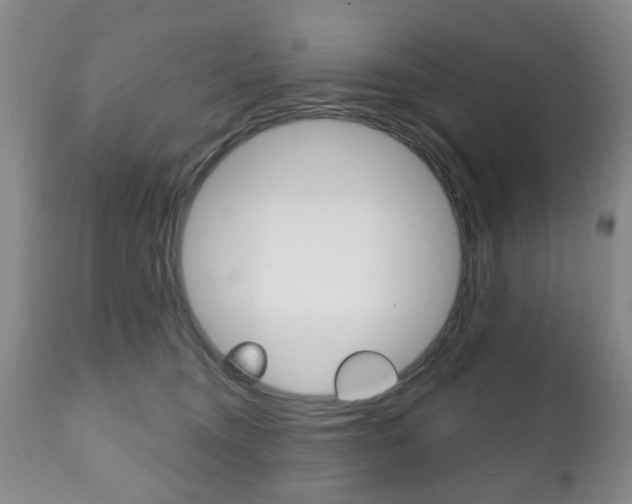 X0000111220372200907021006