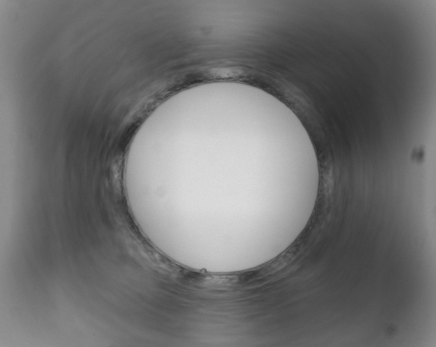 X0000111220373200907021006