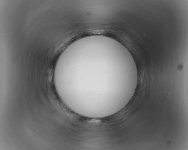X0000111220374200907021006