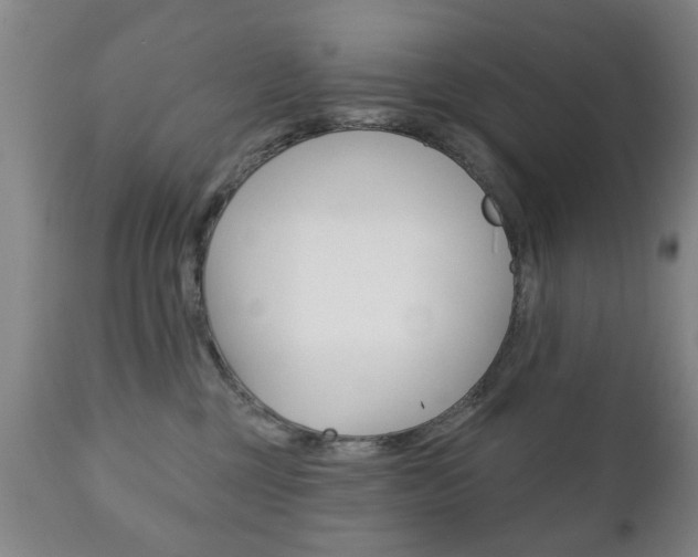X0000111220377200907021006