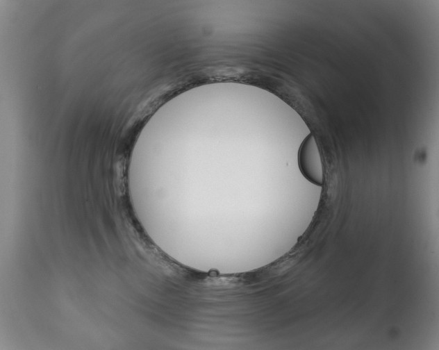 X0000111220378200907021006