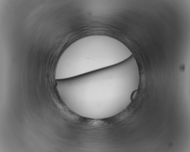 X0000111220379200907021006