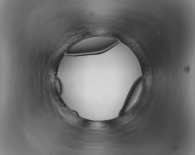 X0000111220380200907021006