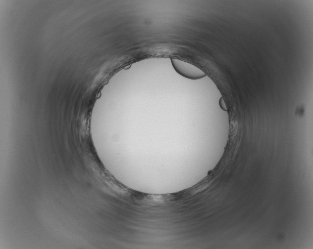 X0000111220381200907021006