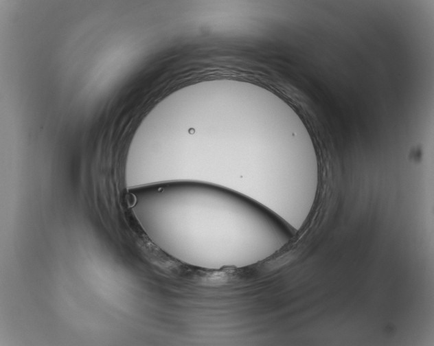 X0000111220382200907021006