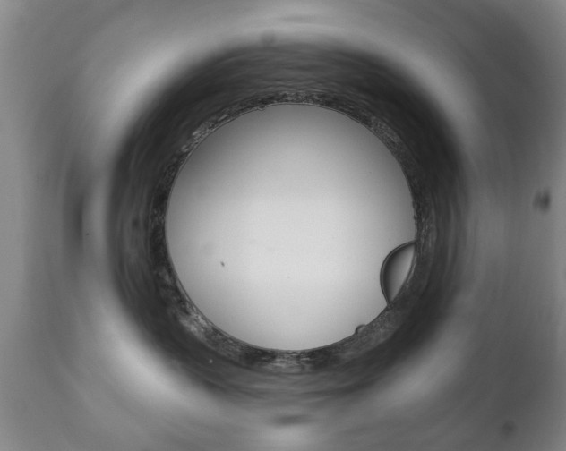 X0000111220383200907021006