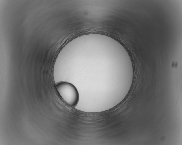 X0000111220384200907021006
