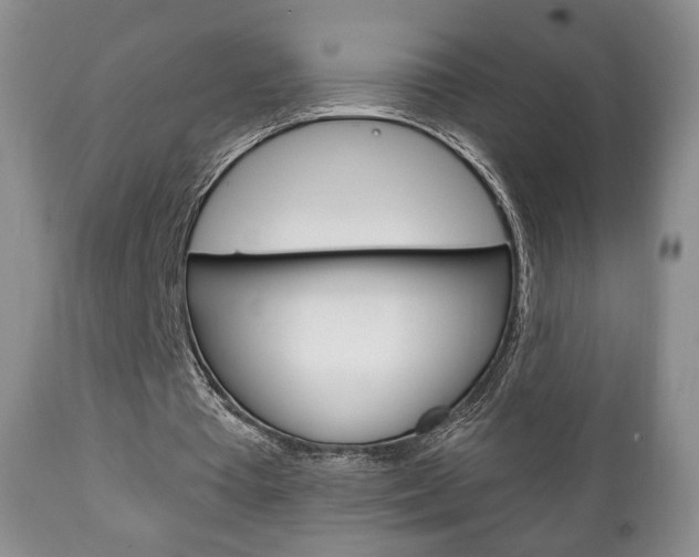 X0000111220385200907021005