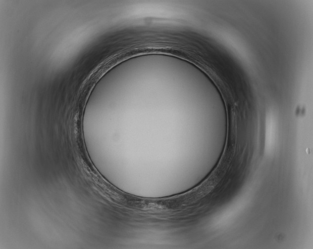 X0000111220387200907021005
