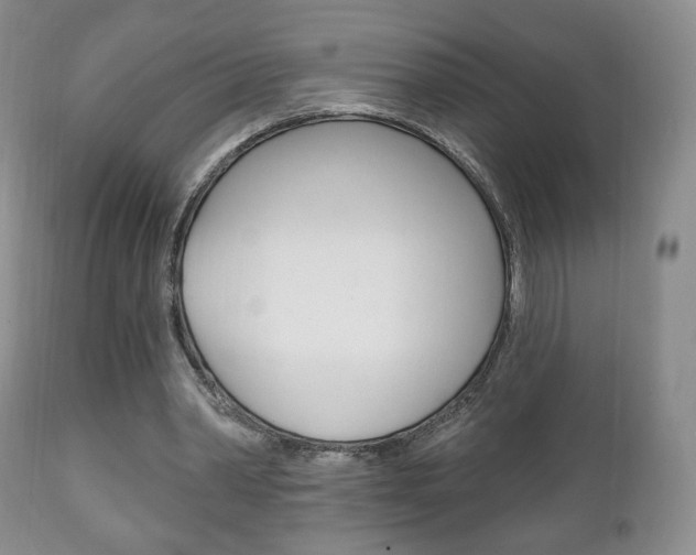 X0000111220390200907021005