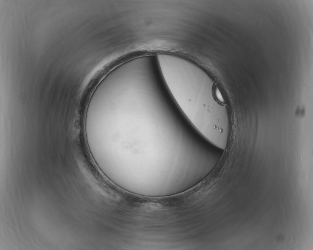 X0000111220392200907021005