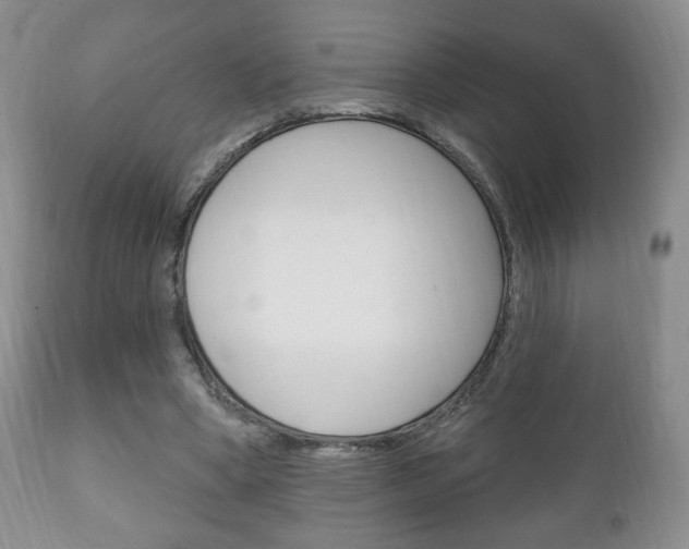 X0000111220394200907021005