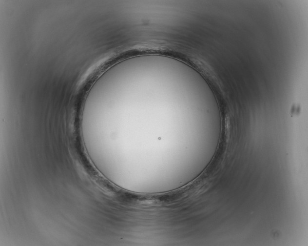 X0000111220396200907021005