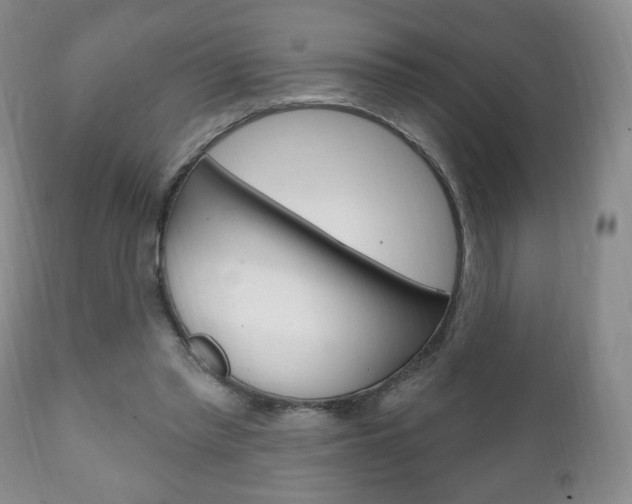 X0000111220397200907021005