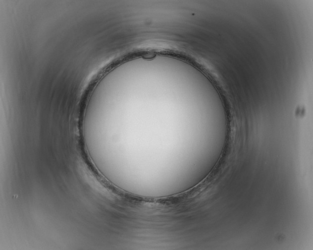 X0000111220399200907021005