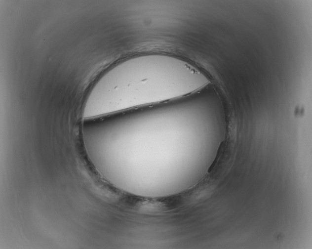 X0000111220403200907021005