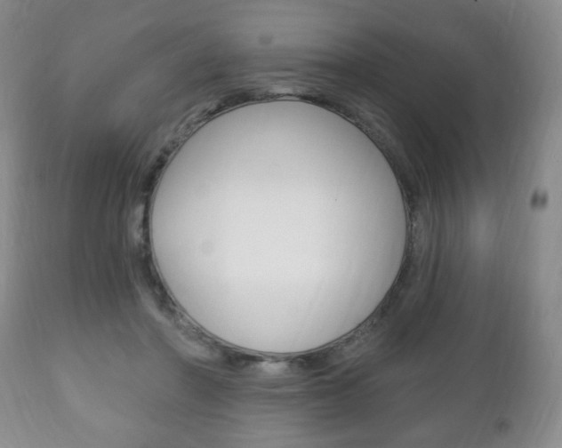 X0000111220406200907021005