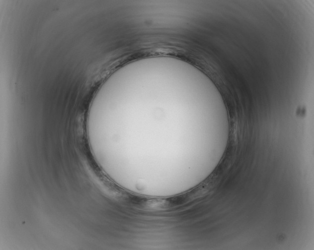 X0000111220410200907021005