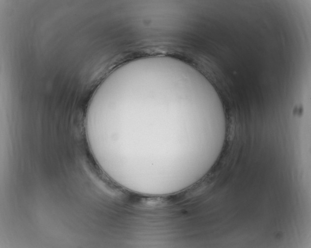 X0000111220414200907021005