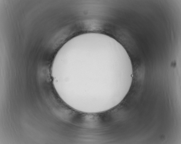 X0000111220415200907021005
