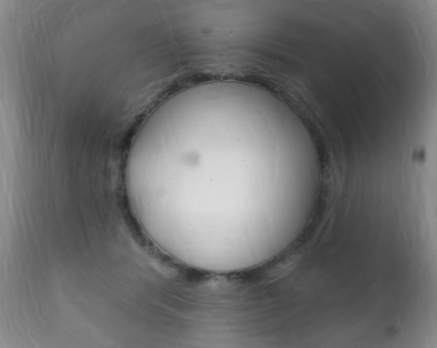 X0000111220416200907021005