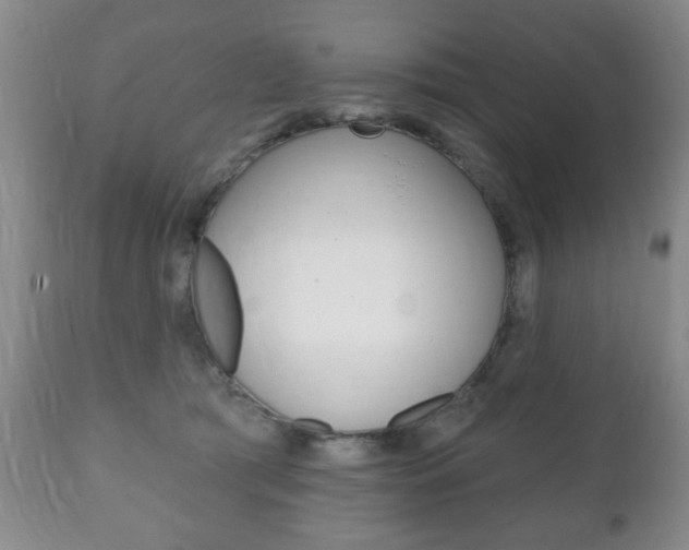 X0000111220417200907021005