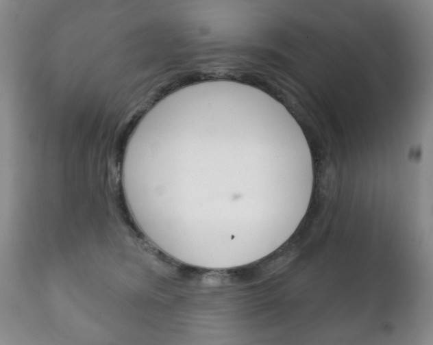 X0000111220420200907021005