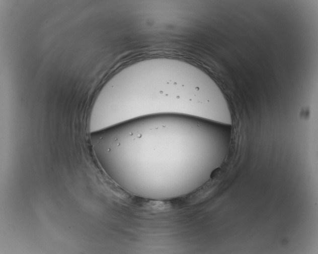 X0000111220421200907021005