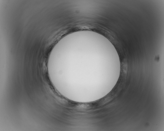 X0000111220422200907021005