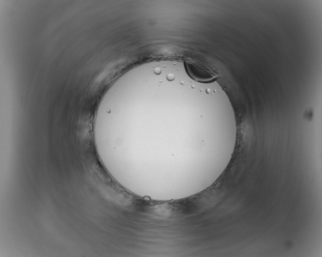 X0000111220423200907021005