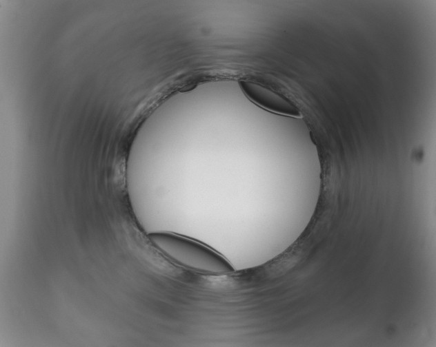 X0000111220425200907021005