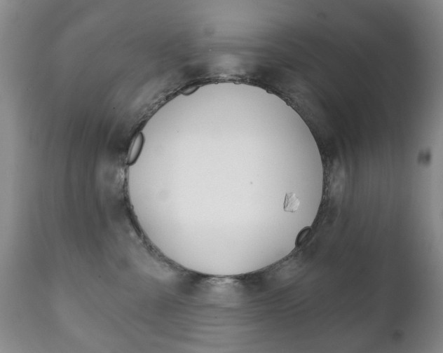 X0000111220427200907021005