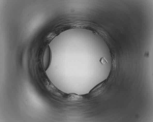 X0000111220429200907021005
