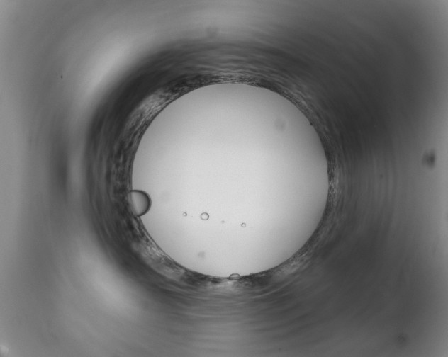 X0000111220430200907021005