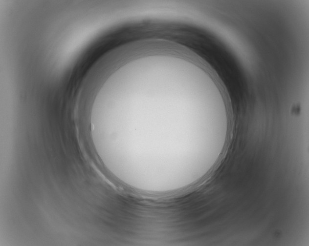 X0000111220431200907021005